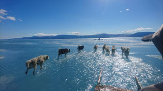Рекордно топене на ледовете в Гренландия