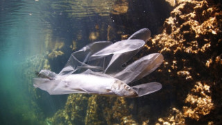 Черно море задръстено с пластмасови отпадъци