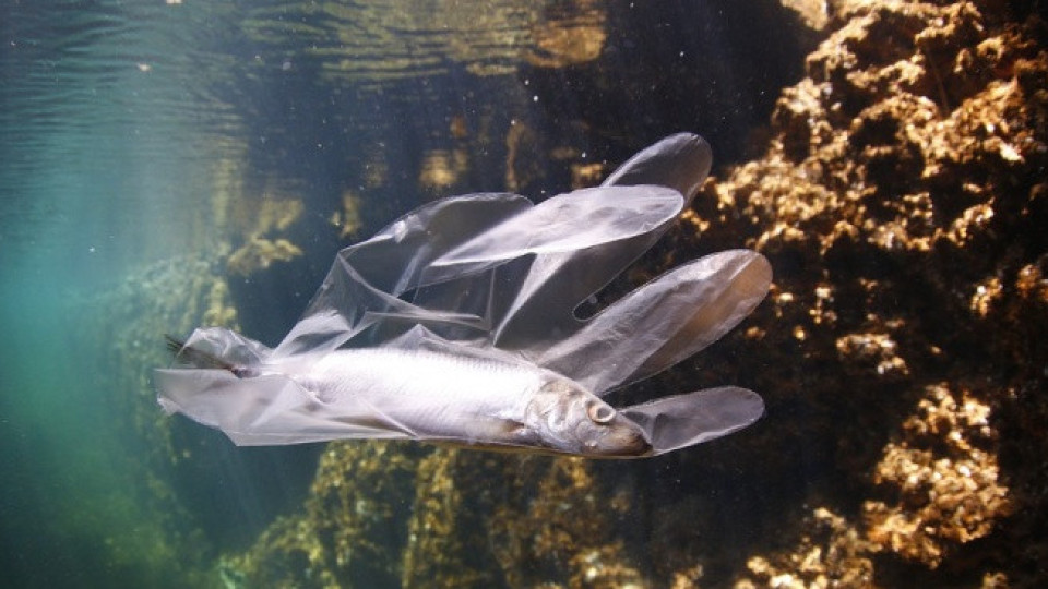 Черно море задръстено с пластмасови отпадъци | StandartNews.com