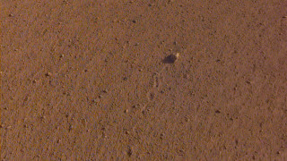Кръстиха камък на Марс на "Роулинг стоунс"