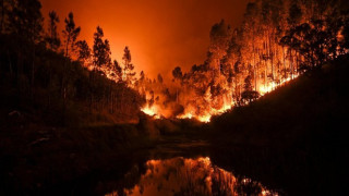 Макрон заплаши  сделката на ЕС с Меркосур заради пожарите