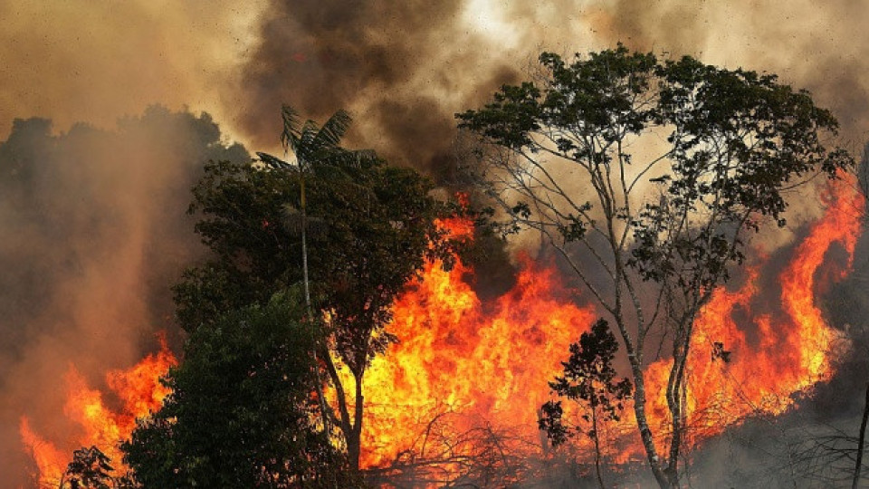 И военни самолети срещу пожарите в Амазония | StandartNews.com