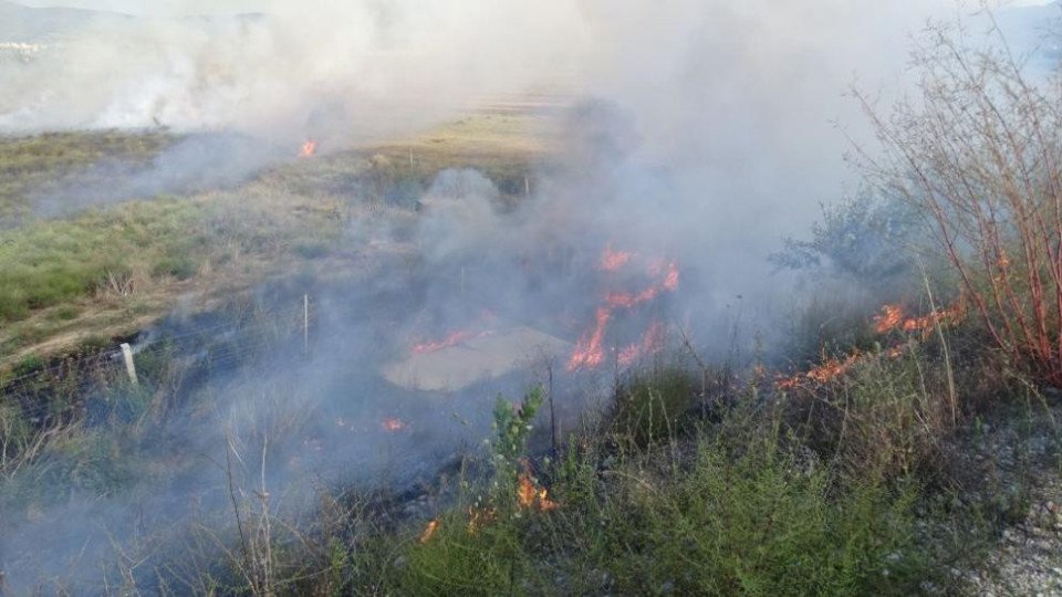 Овладян е пожарът край Харманли | StandartNews.com
