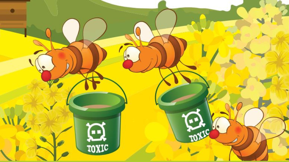 Мед от Южна Америка ще ни трови с пестициди | StandartNews.com