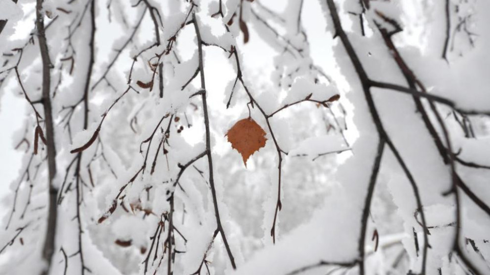 Зимата подрани в САЩ и Канада | StandartNews.com