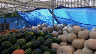 Търговци линчуват крадлив ром в Пазарджик