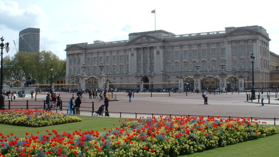 Пенсионер съди Бъкингамския дворец, бил  наследник на трона | StandartNews.com