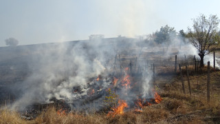 10 дка изтляха в пожар край Благоевград