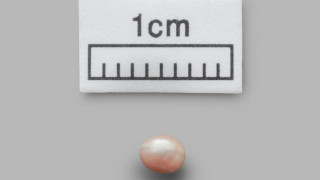 Най-старата естествена перла в света е на 8000 г.