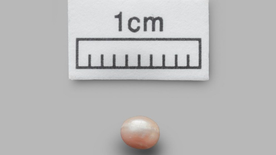 Най-старата естествена перла в света е на 8000 г. | StandartNews.com