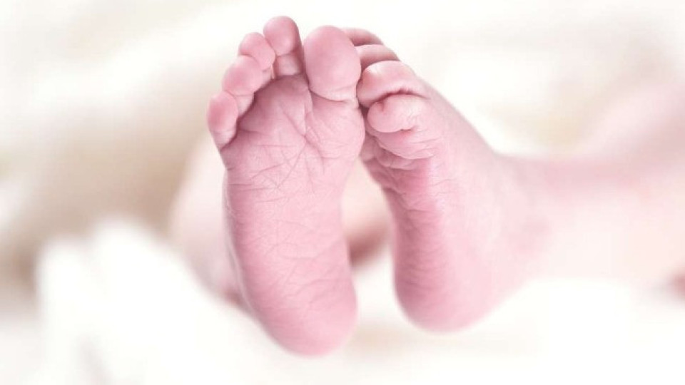 Бебе на годинка изчезна мистериозно в Търновско | StandartNews.com