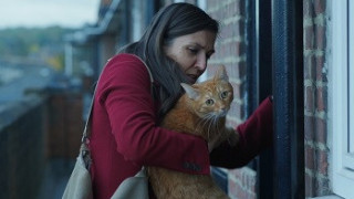 „Котка в стената“ с премиера на Киномания