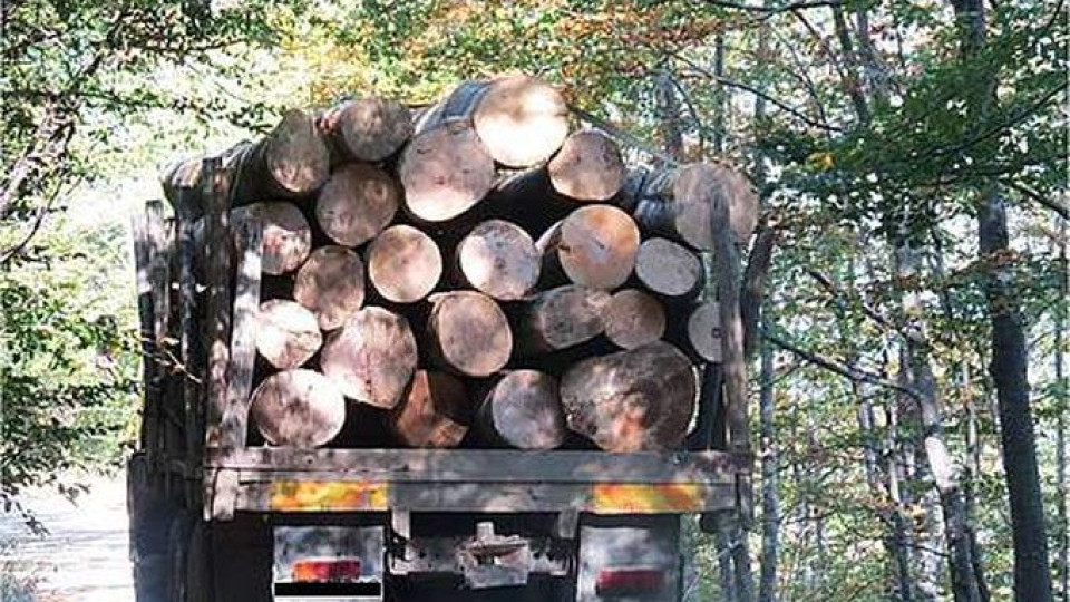 Камион премаза горски инспектор | StandartNews.com