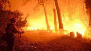Пожарите в Австралия взеха две жертви
