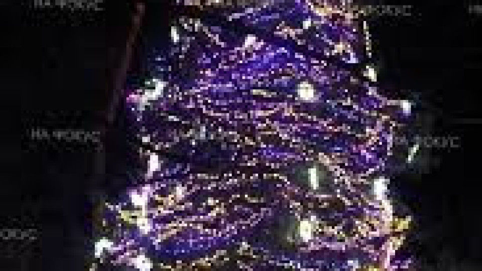 ,,Коледа е! Дарявай светлина!“ | StandartNews.com
