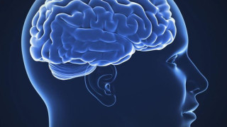 Увреждаме ли мозъка с преяждане?