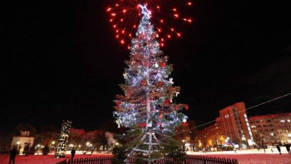 Палят светлините на коледната елха на София | StandartNews.com