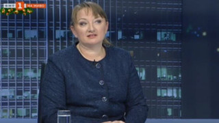 Сачева против антисемейните политики