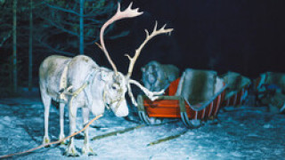 Елен от Лапландия доведе Дядо Коледа