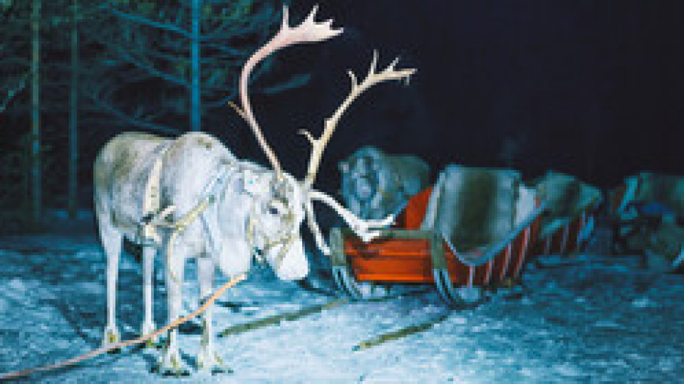Елен от Лапландия доведе Дядо Коледа | StandartNews.com