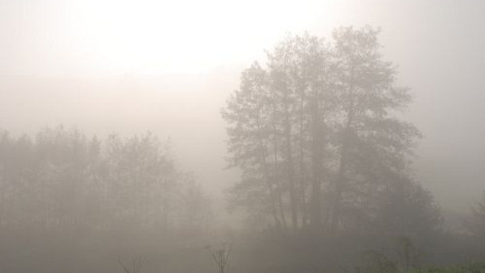 Спасиха 3 момчета, изгубили се заради мъгла | StandartNews.com