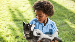 Вземете куче на детето срещу шизофрения