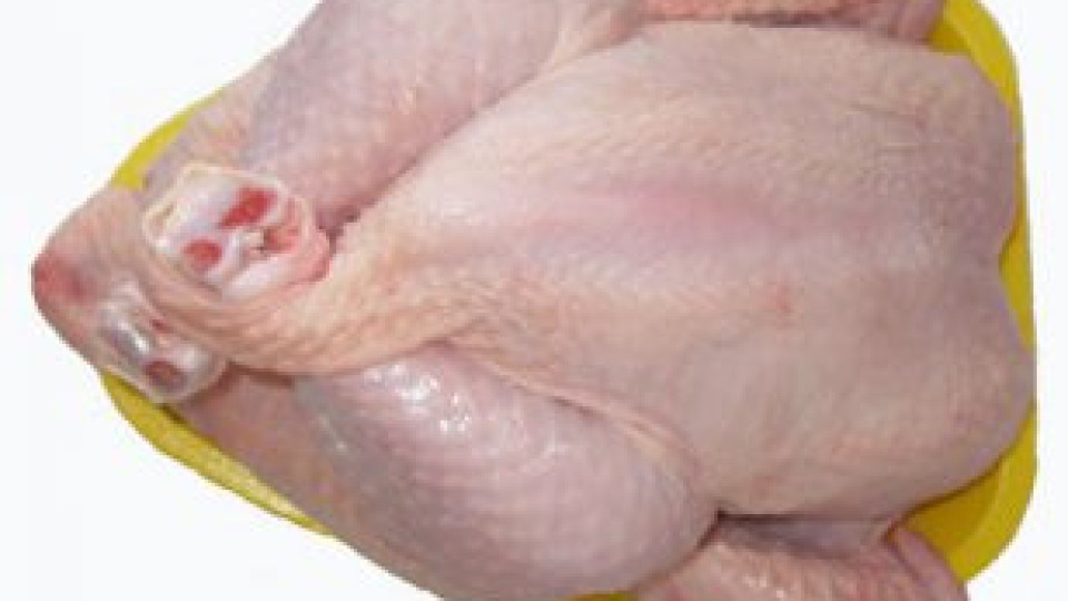 Спряха 20 745 кг птиче месо със салмонела | StandartNews.com