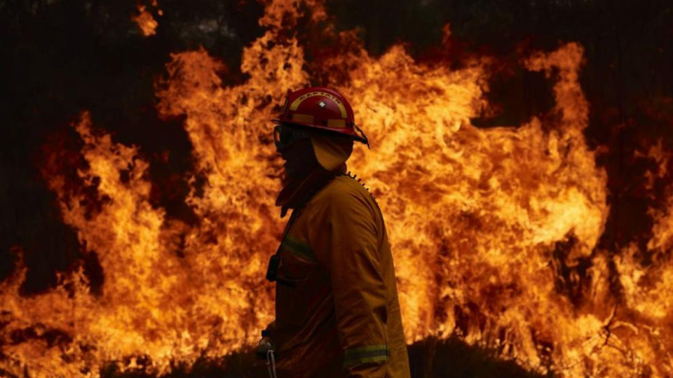 С ужас от пожарите посрещат Нова година в Австралия | StandartNews.com