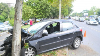 Пиян шофьор нацели дърво пред общината в Търново