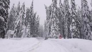 11 души закъсаха в преспите под Шипка