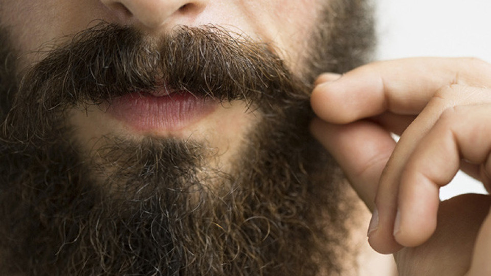 Мъжете избират идеалната брада пред секса | StandartNews.com
