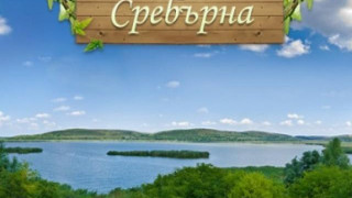 Северни птици превзеха езерото Сребърна