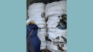 Италиански боклук изловен на пристанището в Бургас
