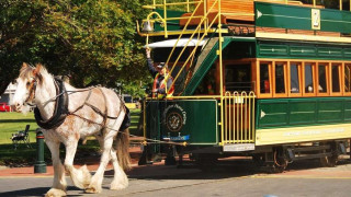 Конният трамвай е икона в Австралия