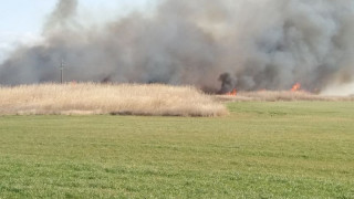 Потушиха пожара край Дуранкулак