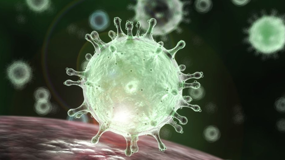 Какво е коронавирусът и колко да се притесняваме? | StandartNews.com