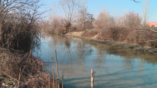 Спряха рибешкия геноцид в река Марица