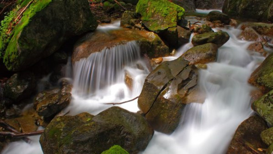 Искат в Пловдив да тече планинска вода | StandartNews.com
