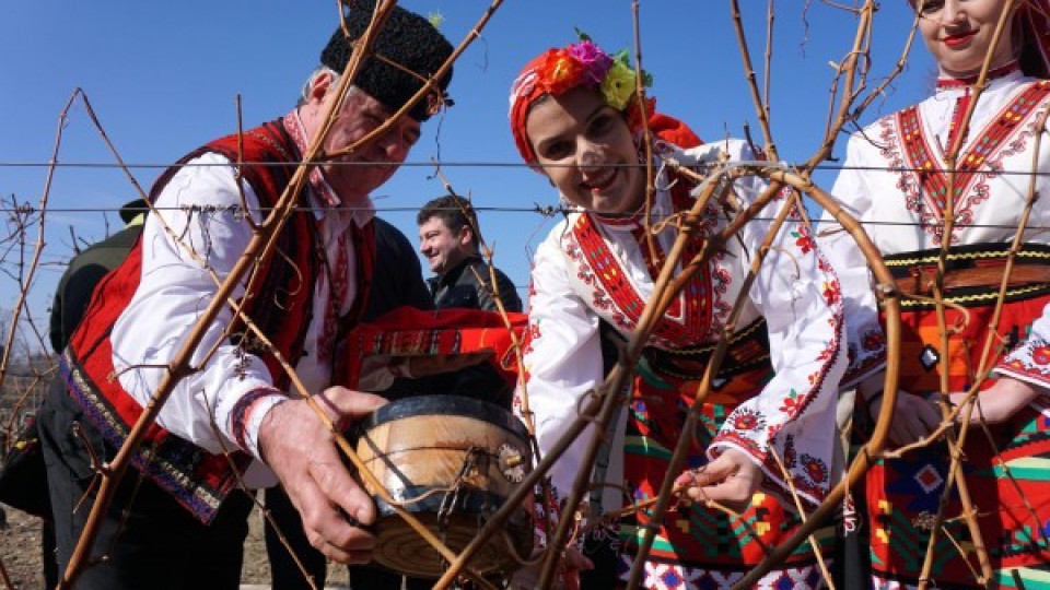 Старт на празниците на виното | StandartNews.com