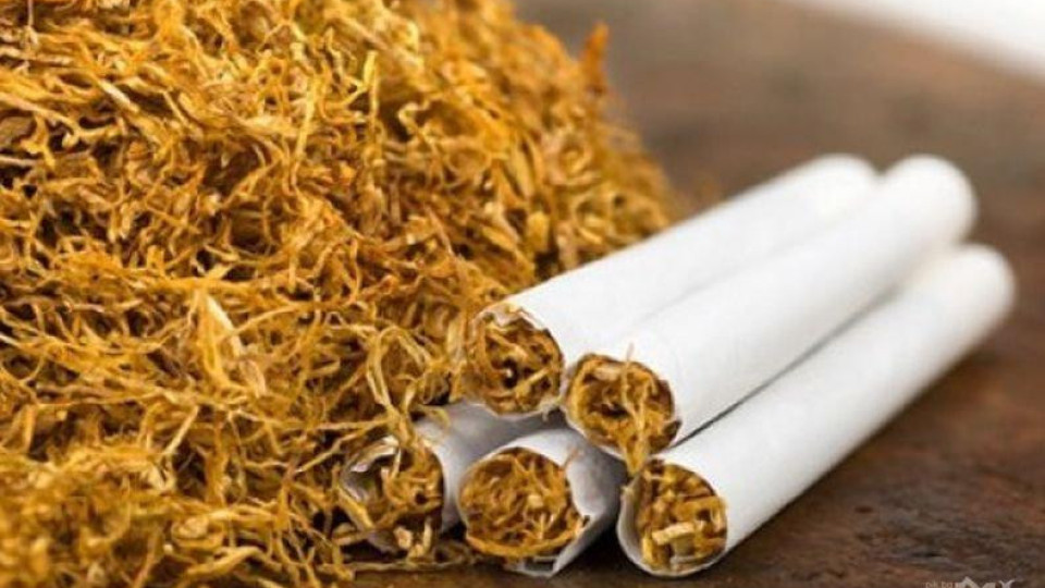 230 кг тютюн без бандерол иззеха в Плевен | StandartNews.com