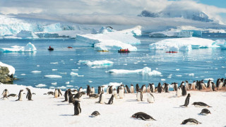 Опасно - исторически температурен рекорд в Антарктида