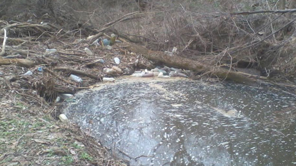 Чистят реките в Плевенско от дървета и клони | StandartNews.com