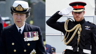 Принцеса Ан замени Хари в кралската морска пехота