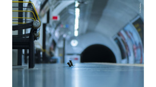 Снимка на годината - мишки в метростанция