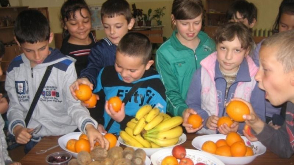 4,5 млн.лв. за плод и мляко в училище | StandartNews.com