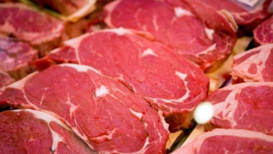 Потвърдено: Тонове развалено месо край Плевен | StandartNews.com