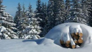 Ски и сноуборд учители искат промяна в плана на Витоша