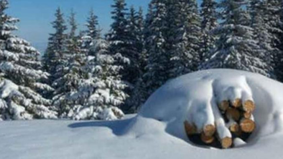 Ски и сноуборд учители искат промяна в плана на Витоша | StandartNews.com