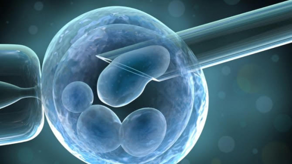Какво знаем за съхранението на стволови клетки | StandartNews.com