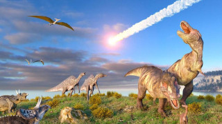 372 дни била годината на динозаврите